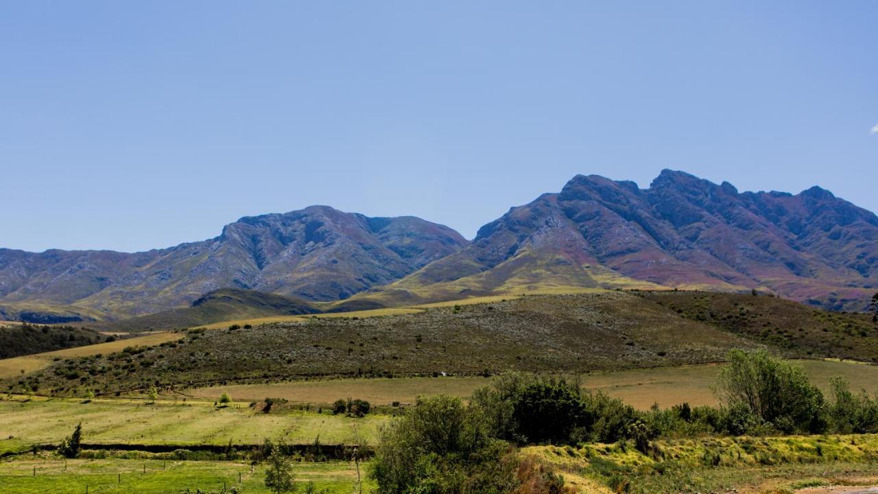 Joubertsdal Country Estate Guest House Swellendam Exterior foto